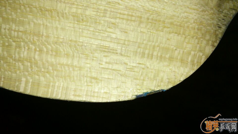 FL����ALC��ST ALC