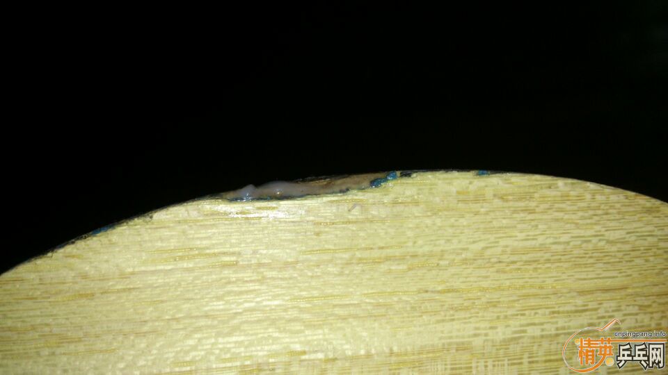 FL����ALC��ST ALC