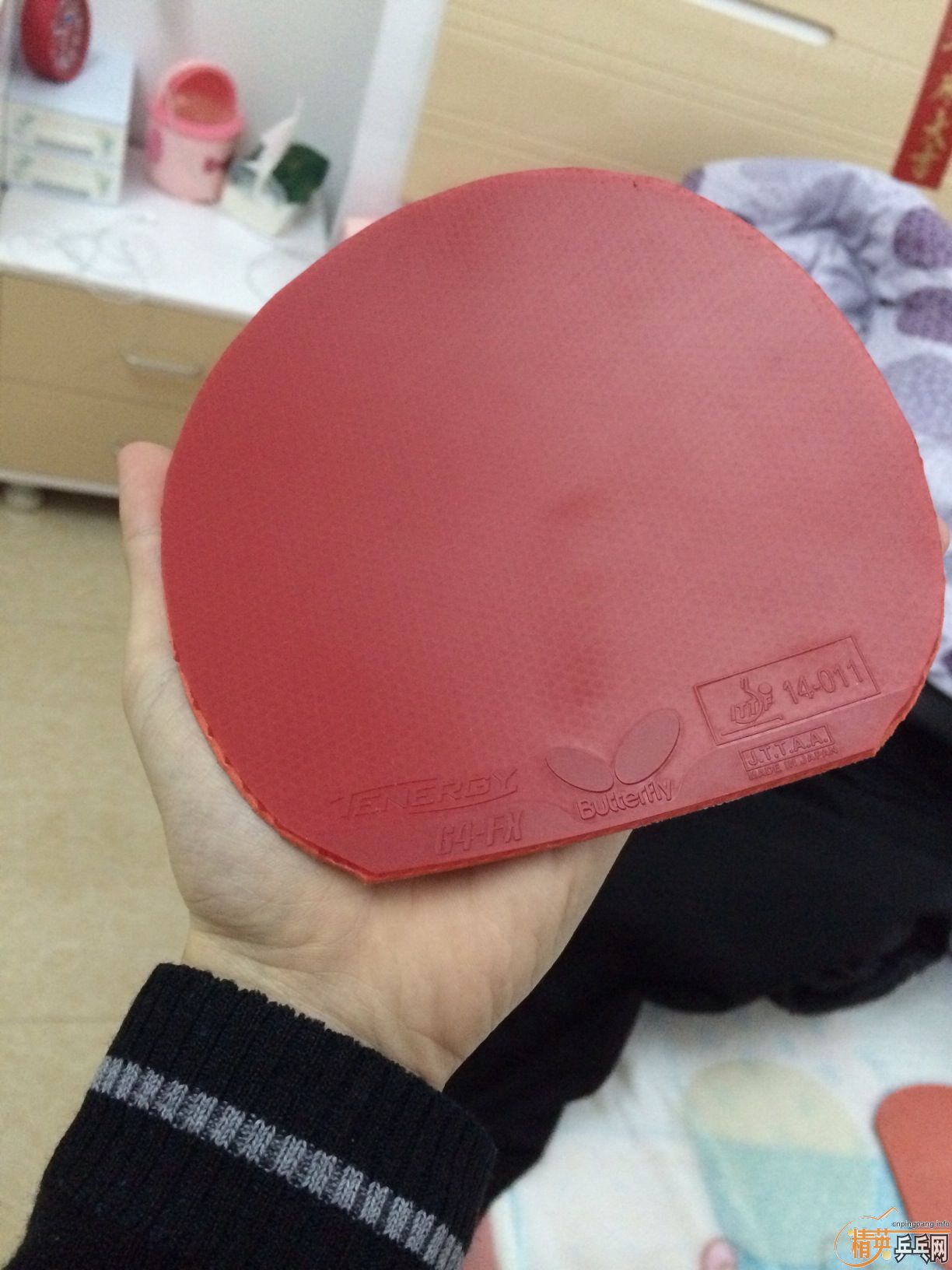 �л�9�׽�boll  ZLC FL