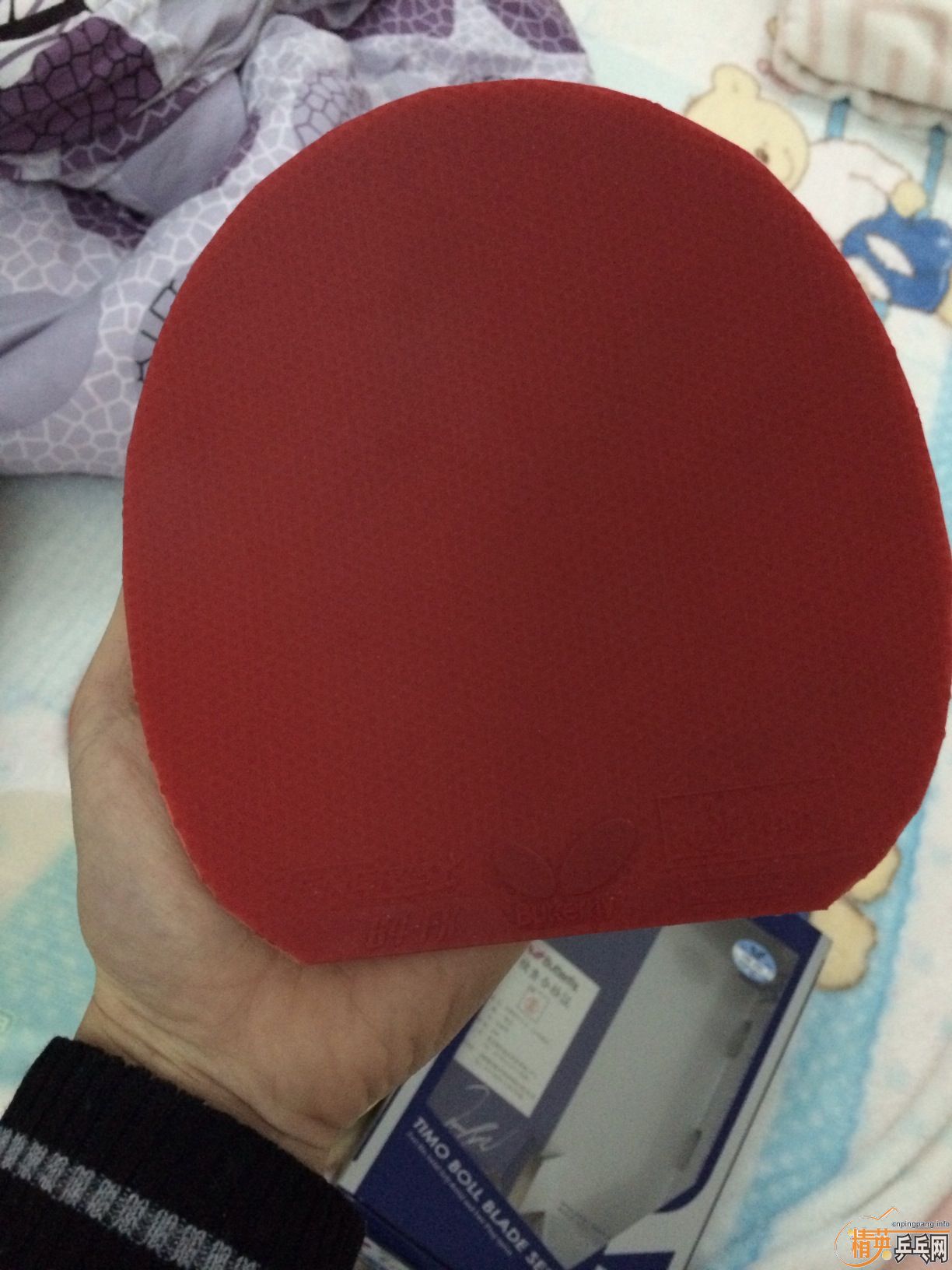 �л�9�׽�boll  ZLC FL