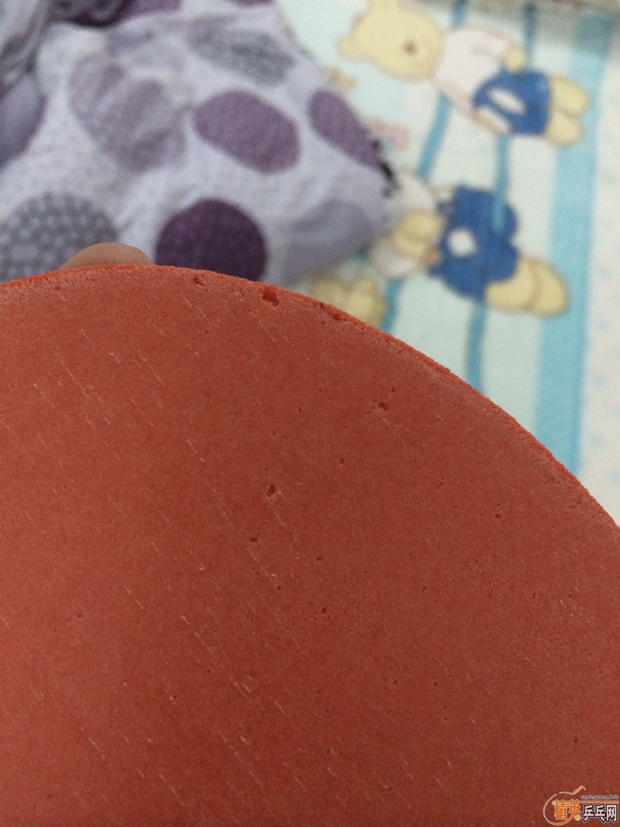 �л�9�׽�boll  ZLC FL