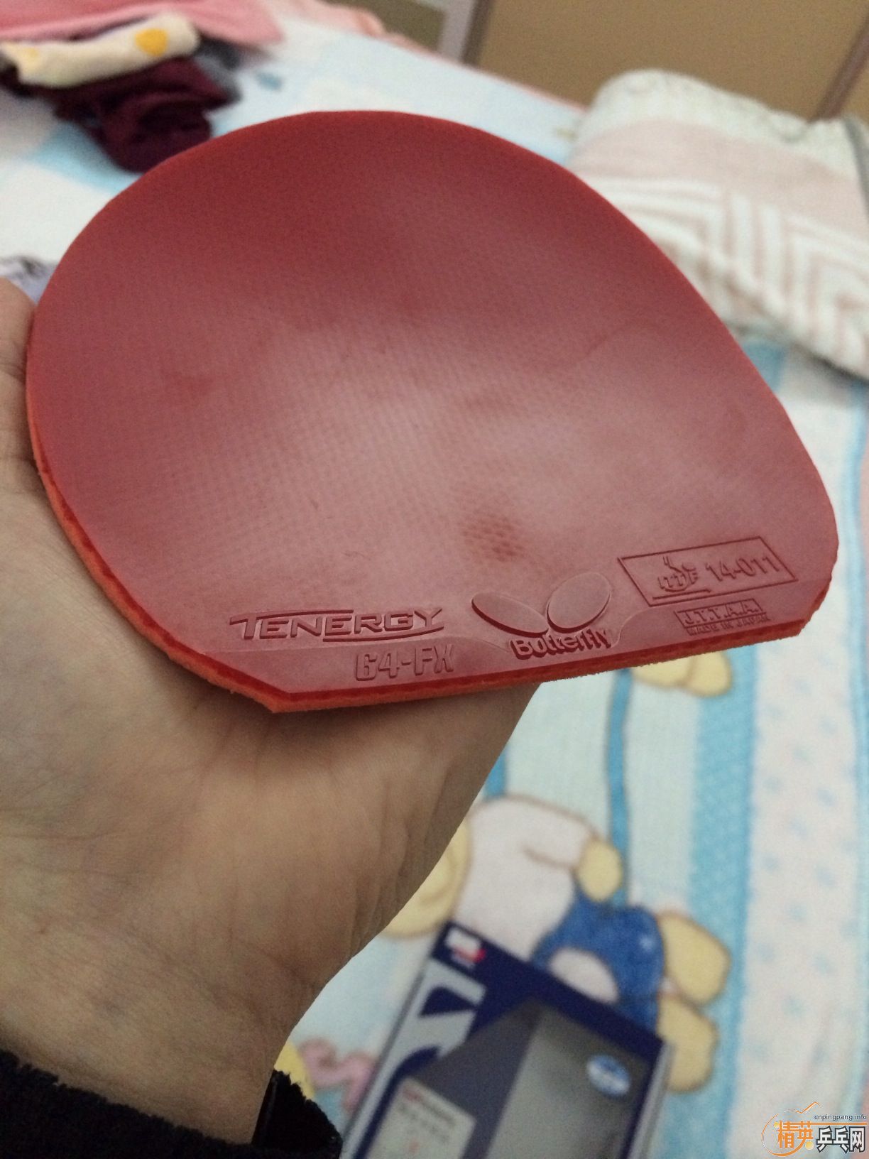 �л�9�׽�boll  ZLC FL