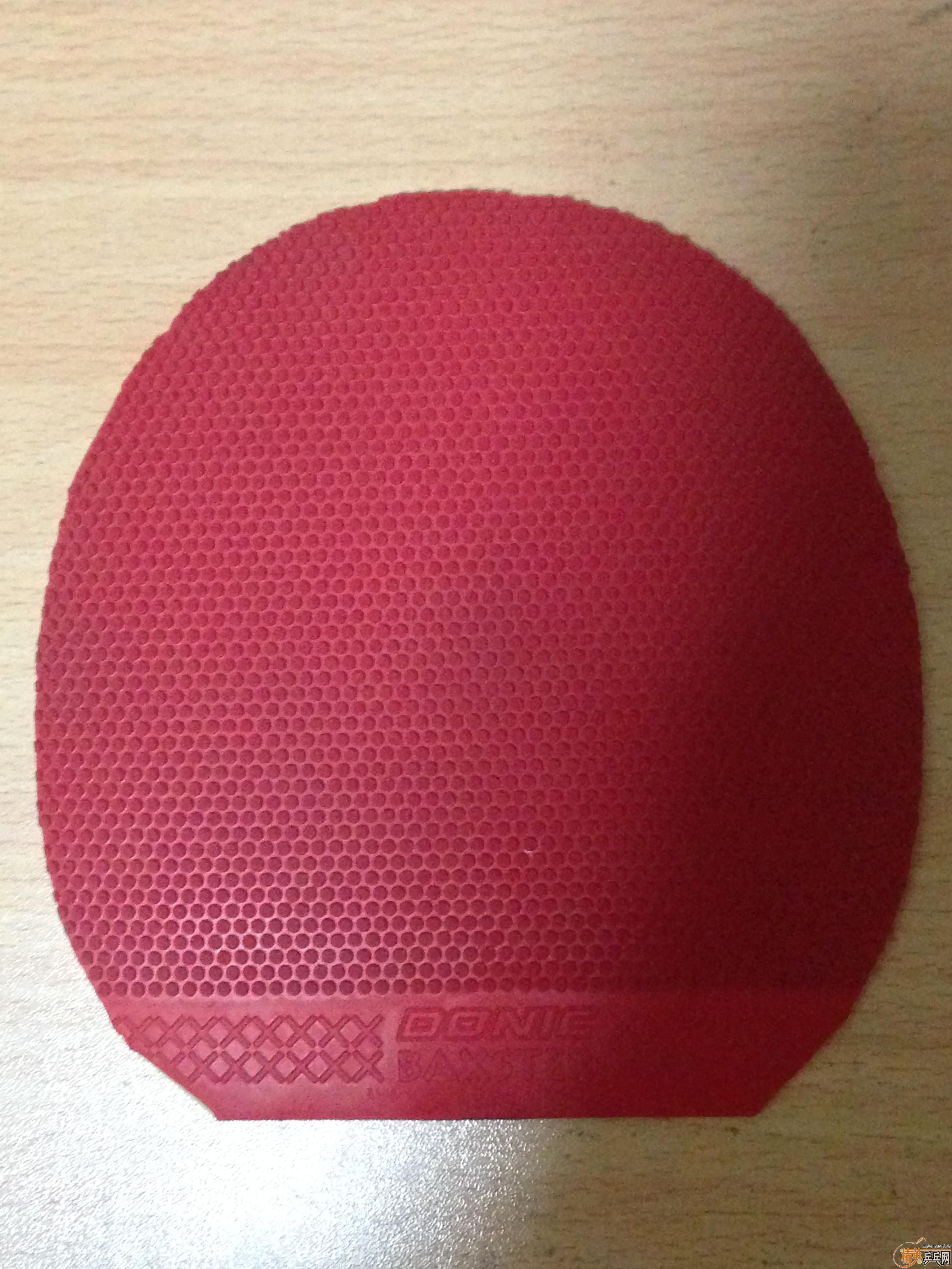 ��9���¶����ħ��������