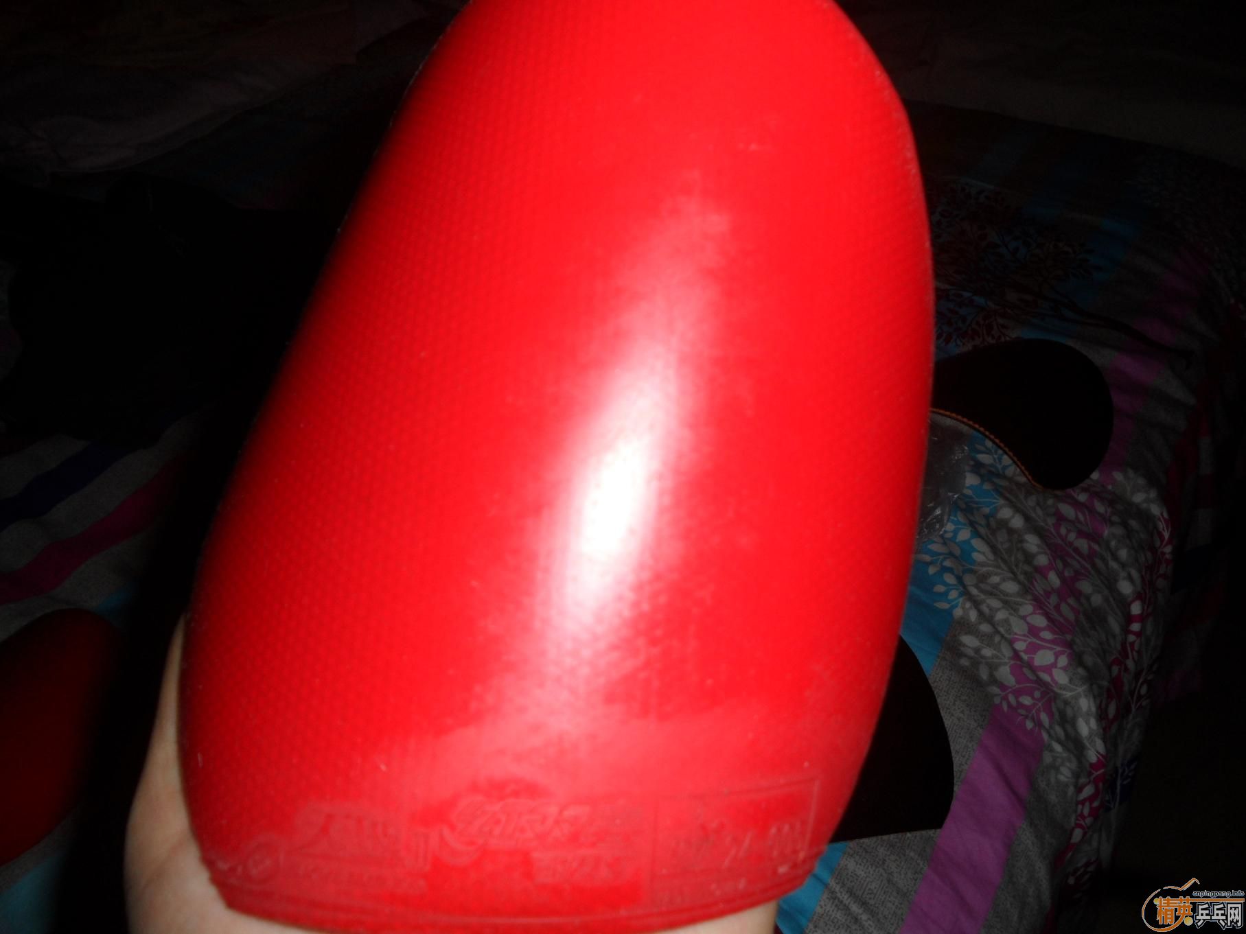 ���������׽����������׶��У������