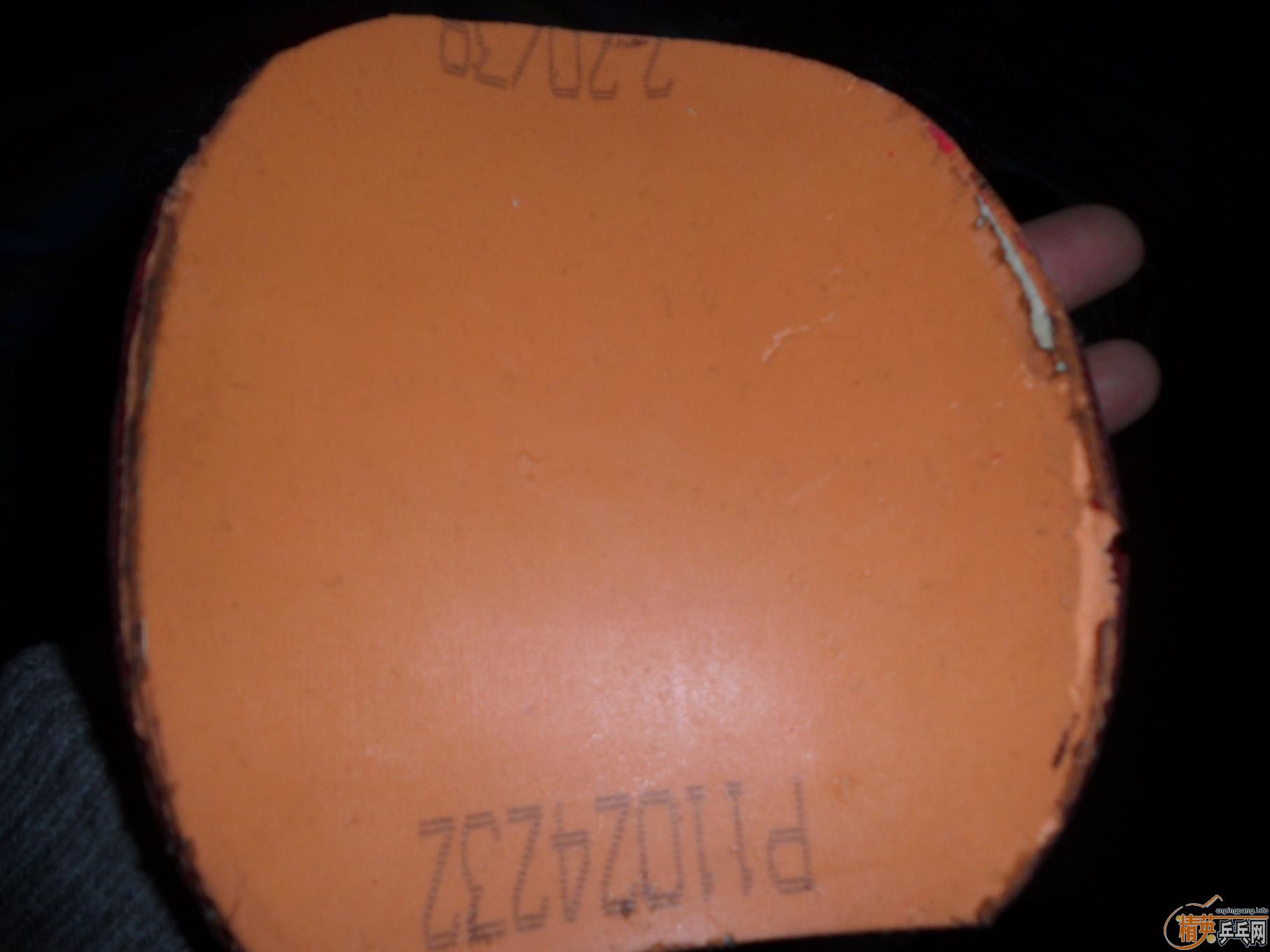 ���������׽����������׶��У������