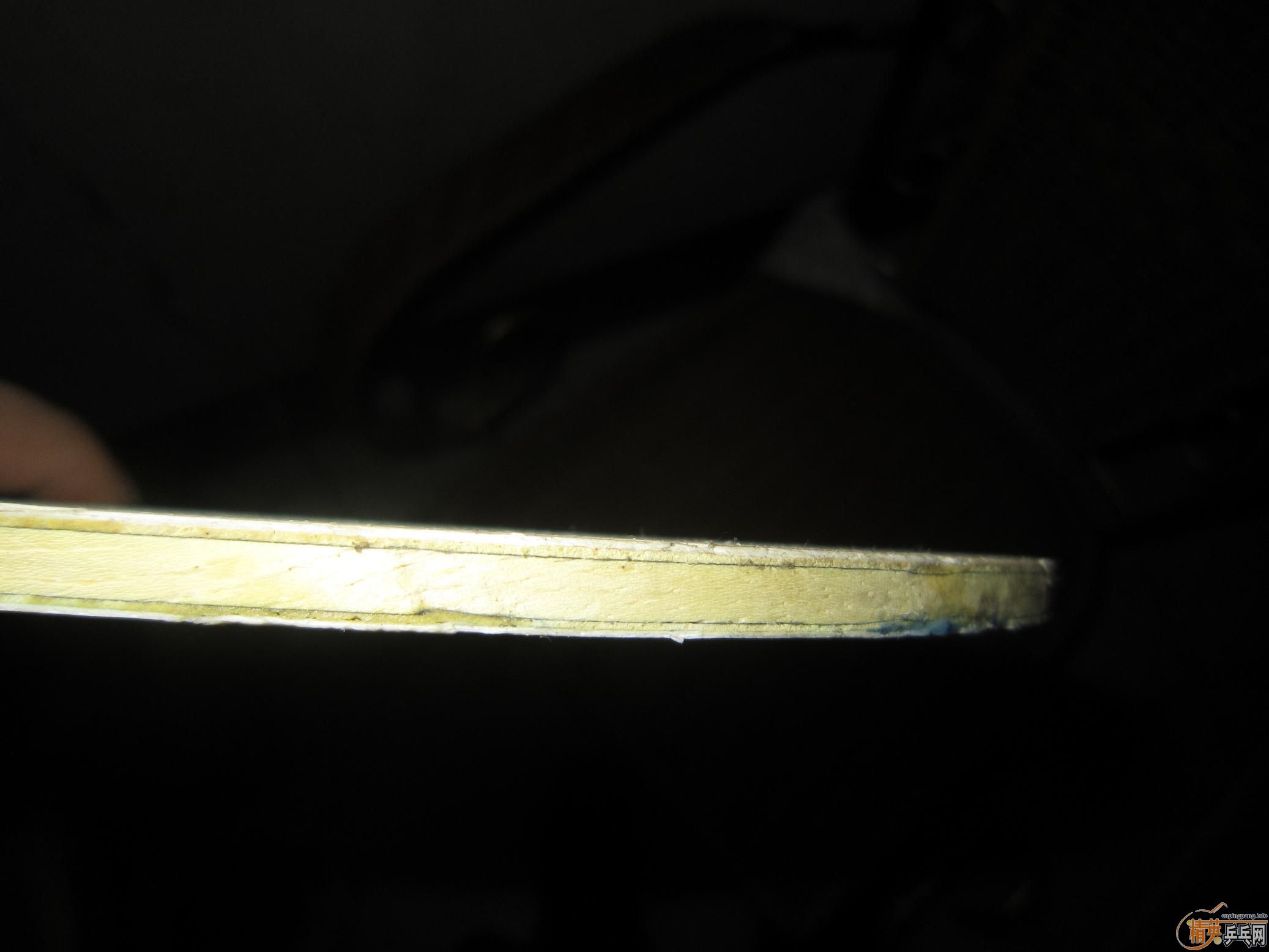 ˹�ٿ�ŷ��CC5��FL�� 290Ԫ����