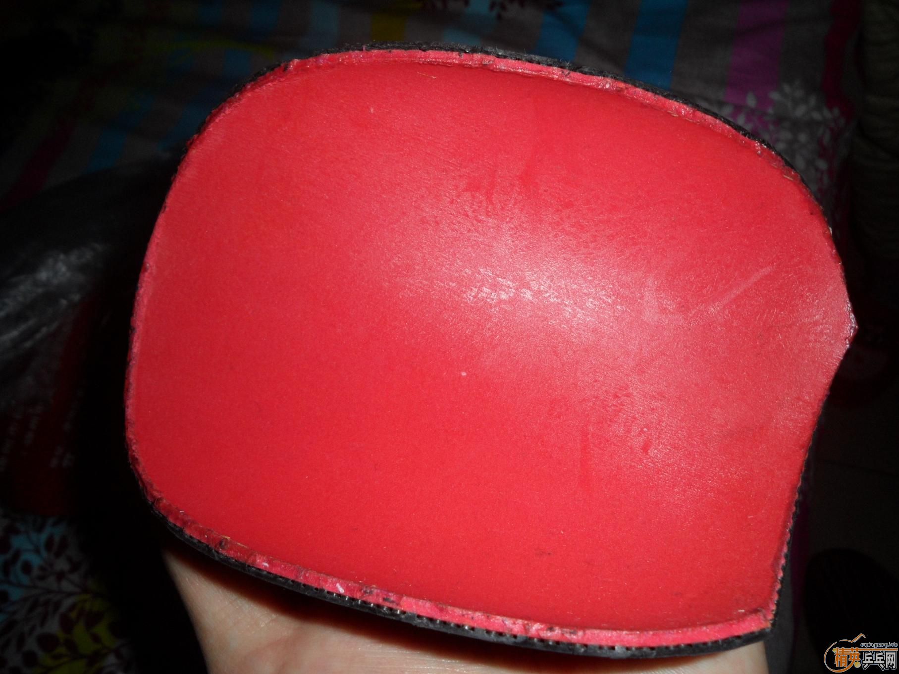 ���������׽����������׶��У������