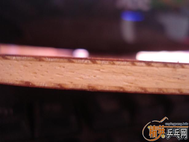 ������ֱ��õ��5��Ѫ��530Ԫ���ʴ�������װ��