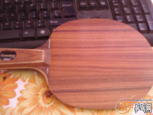 ������ֱ��õ��5��Ѫ��530Ԫ���ʴ�������װ��