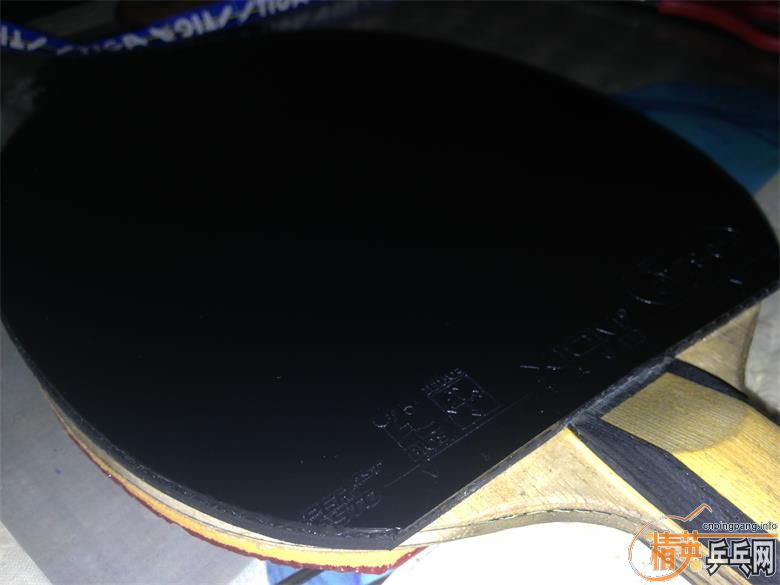 ������������������һ���װ壬�׽����������ǰײ˼۸񡣡�����Ҫ����˵Ŀ���