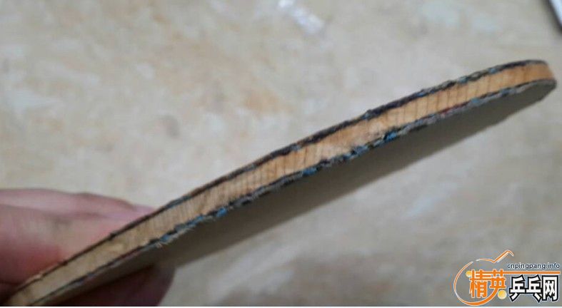 598���ʳ�����G�������