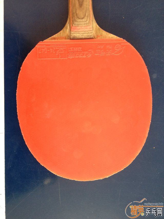 [����]����װ�һֻ