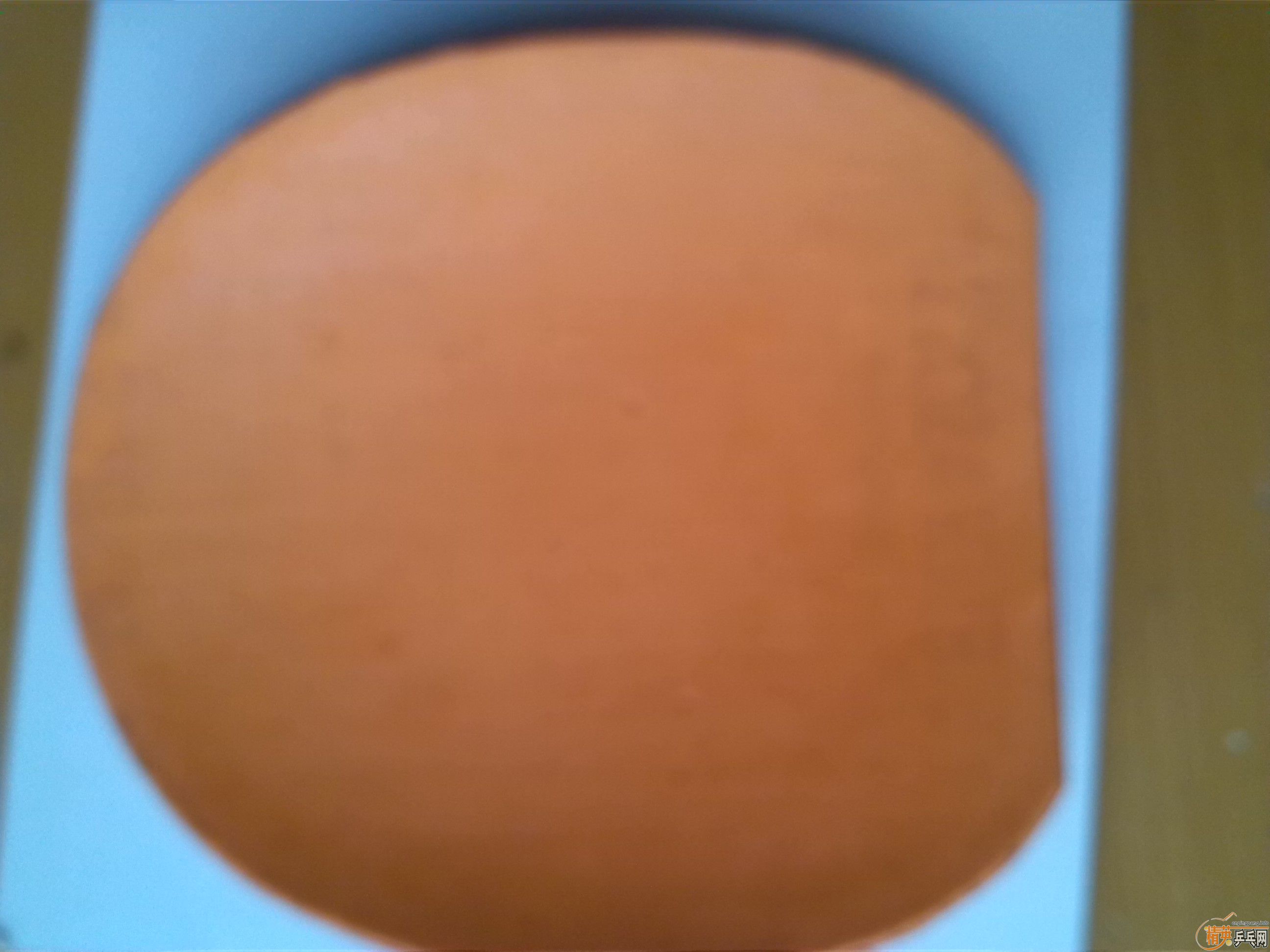 ���ʳ�9�� ����� 160Ԫ,9.5�º�Sriver (Max) 160Ԫ�����300Ԫ��