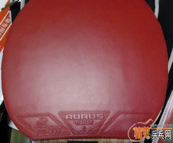 �ż۳�ͦ��AURUS����ά���й�