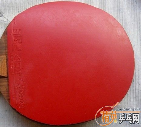 �ż۳�ͦ��AURUS����ά���й�