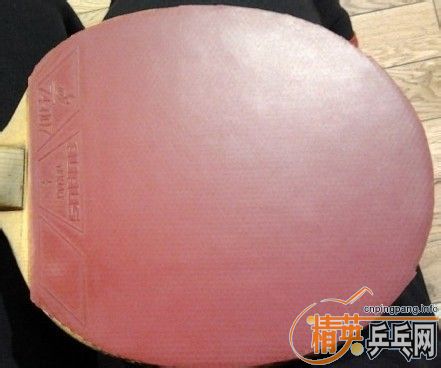 �ż۳�ͦ��AURUS����ά���й�