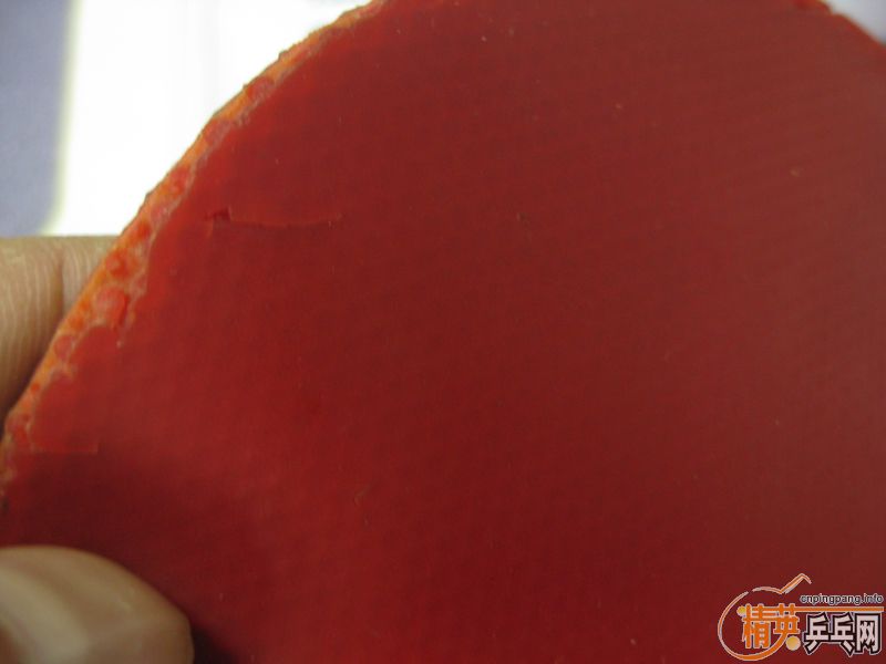 [ԭ��]ת�����ź�ɫT05��һ������̫��רҵ��