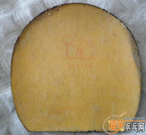 ��˹�ٿ��л�CL��TSP���������ȶ�������