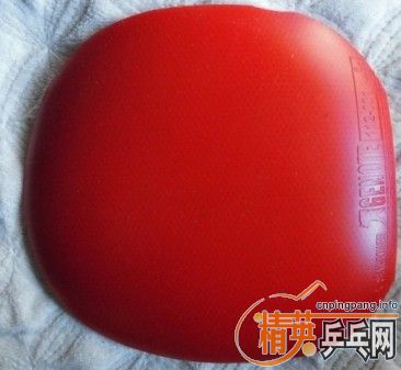 ��˹�ٿ��л�CL��TSP���������ȶ�������