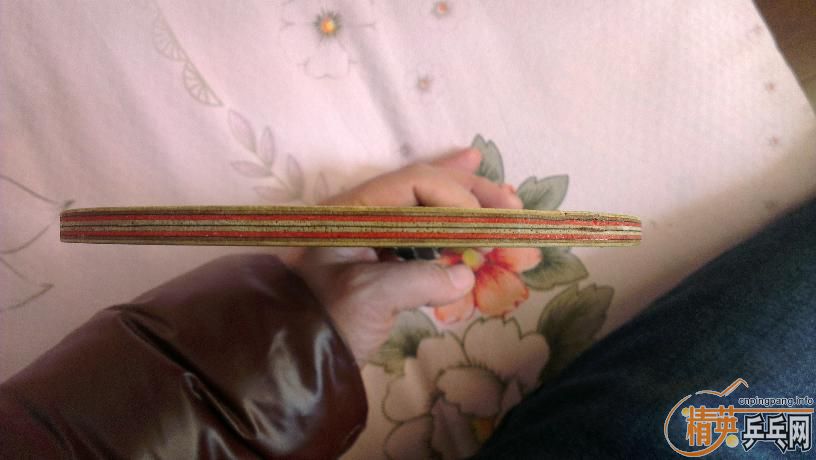 ��ͦ����̼��