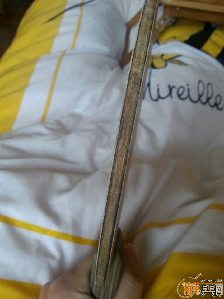 ���˳� ������VIS (����&���� ) ��˳������3��EL��Ƥ    �ﶥ��500W����ҹ������~~~~~~~~