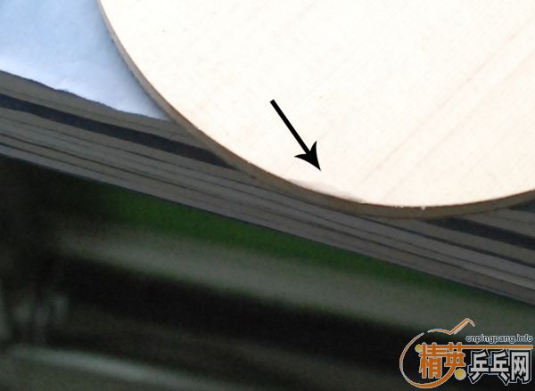 ����ʮ��������̼��