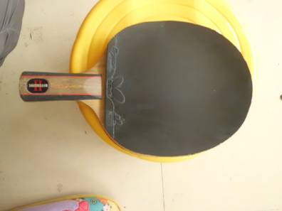 �����SPEED��FX120���ʻ򽻻��ȼ����׼�����