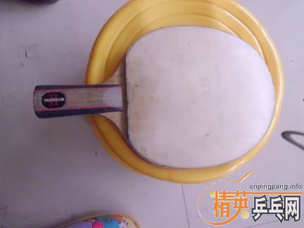 �����SPEED��FX120���ʻ򽻻��ȼ����׼�����