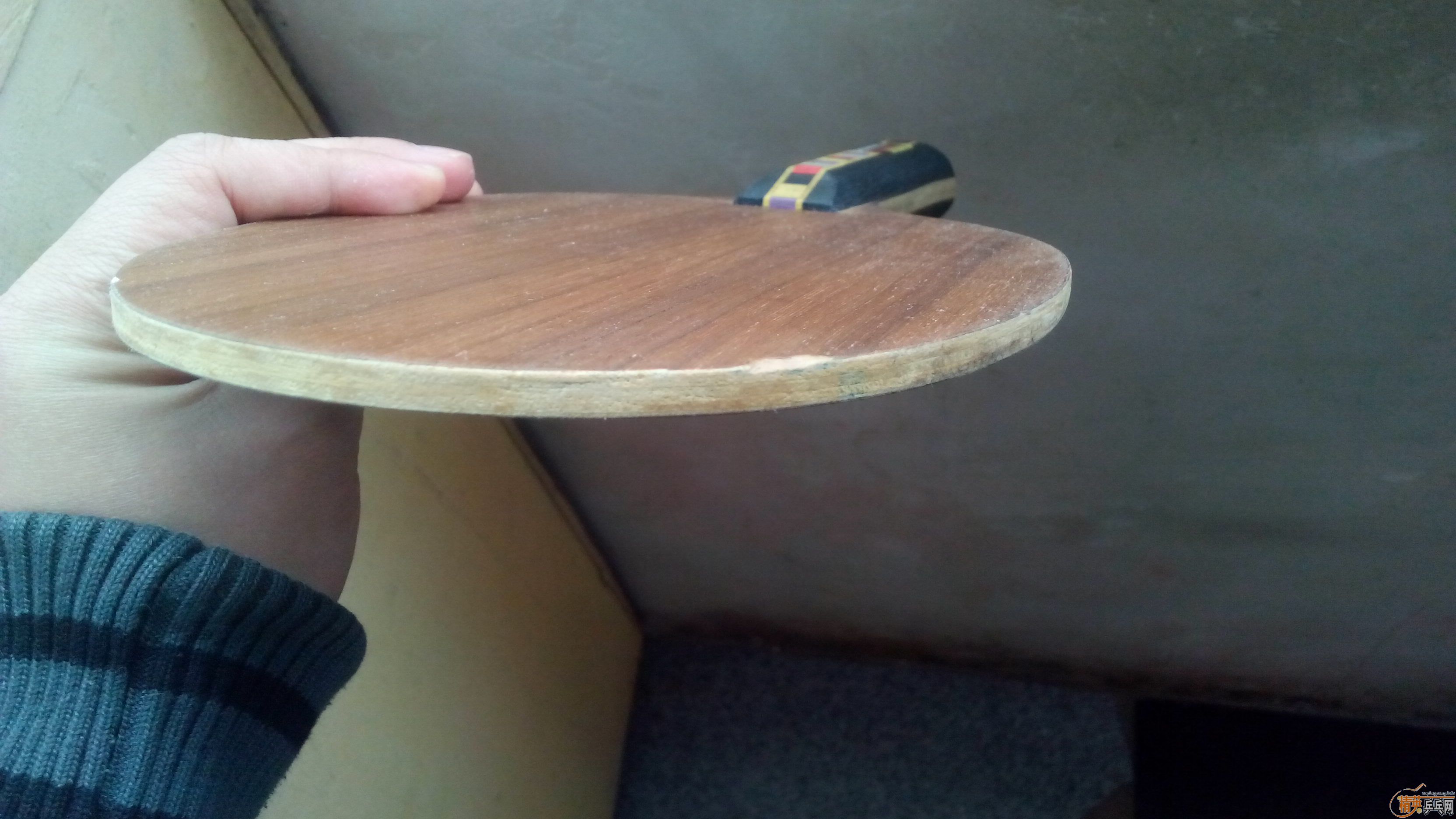 ��������ǡŵ��