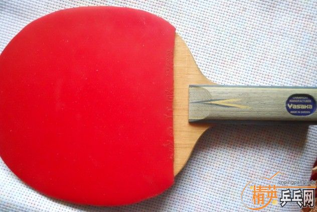 ysc ֱ���հ�������̼һֻ