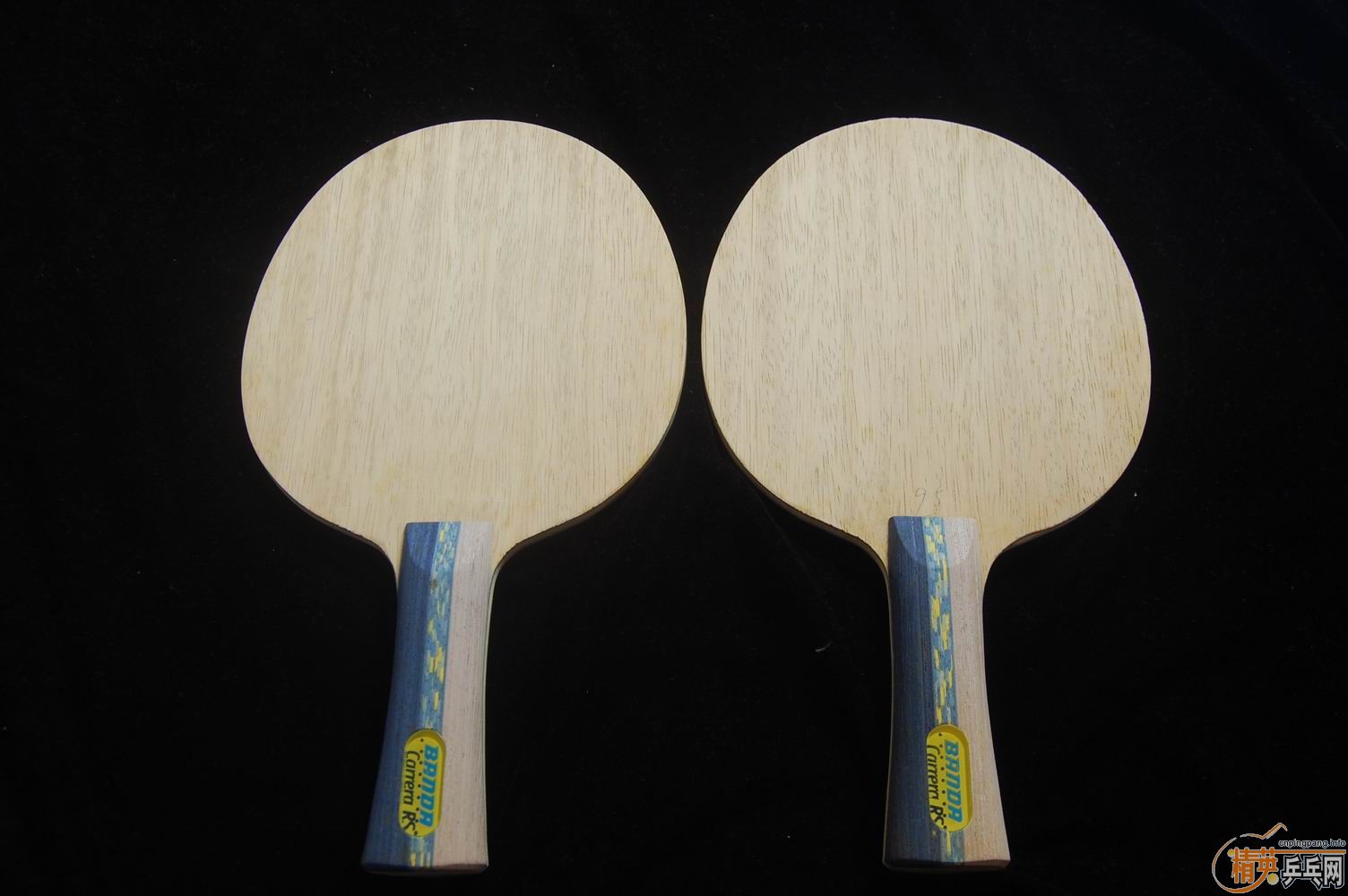 ��������ľͷ����Banda