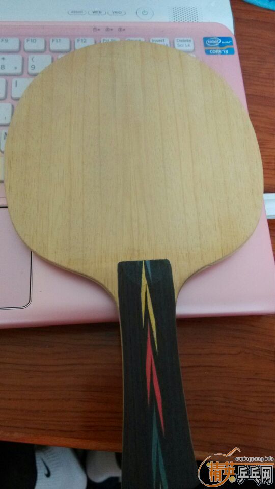 ��һֻ���ɭ���˰�81�ˣ�300Ԫ���ʣ�QQ987354299