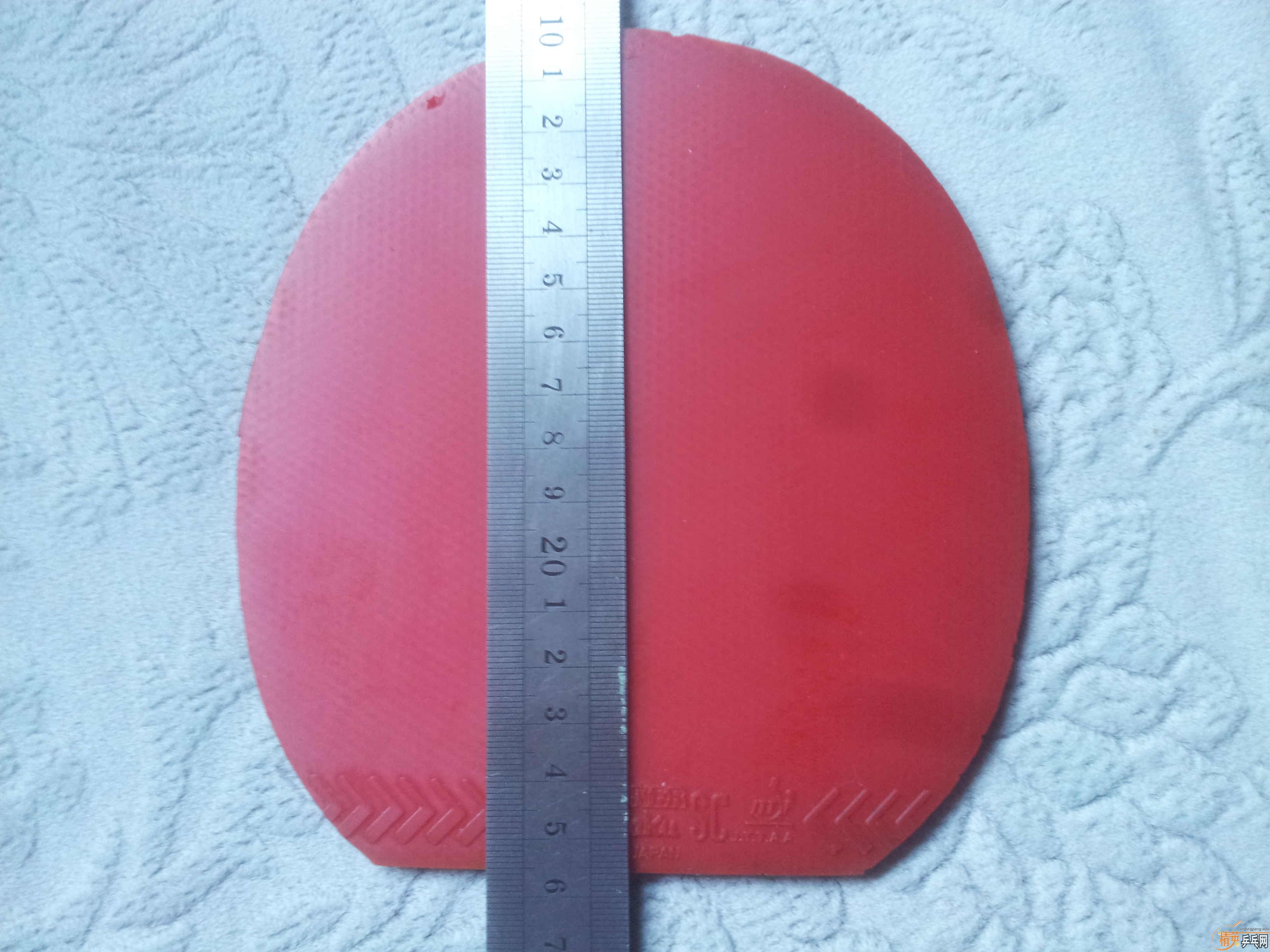 ��һ�Ŷ���nittaku��ɫƹ�����׽�