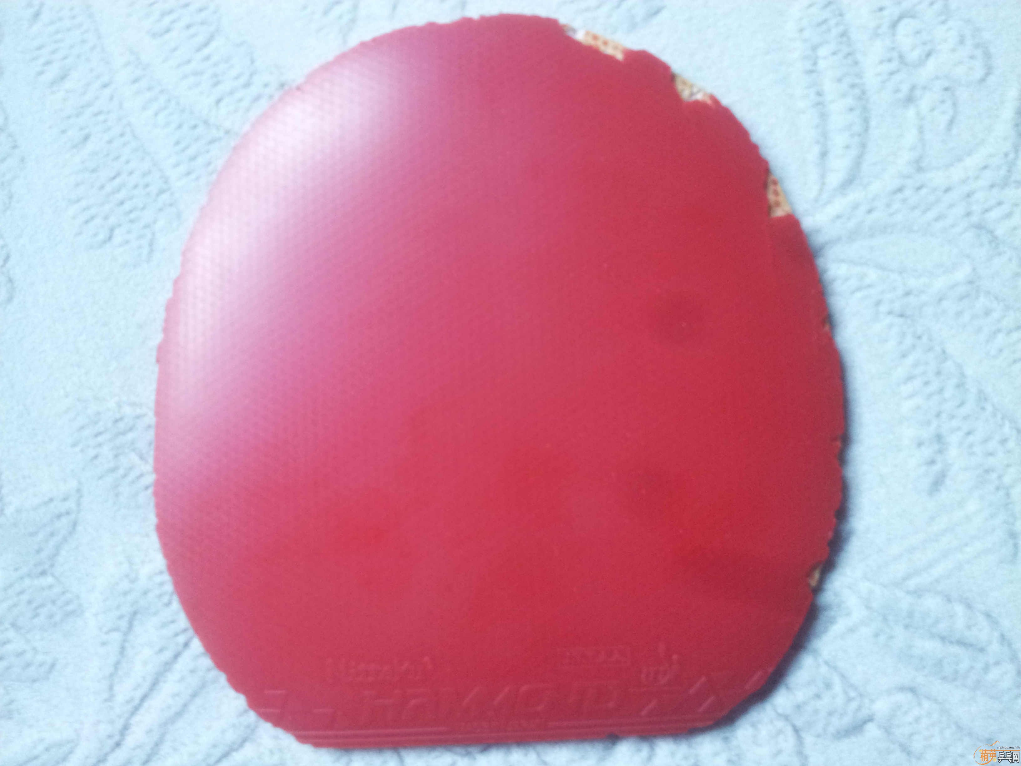 �����Ŷ���nittaku����