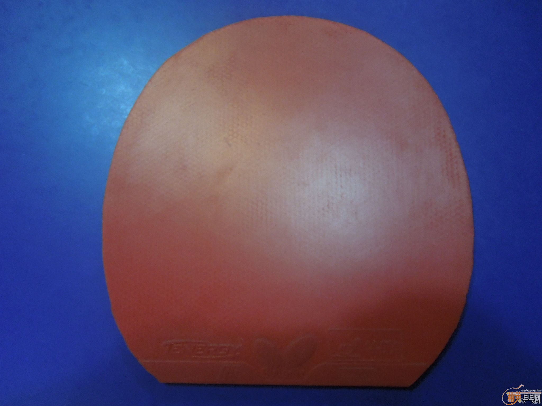 �ͼ۳������׽�