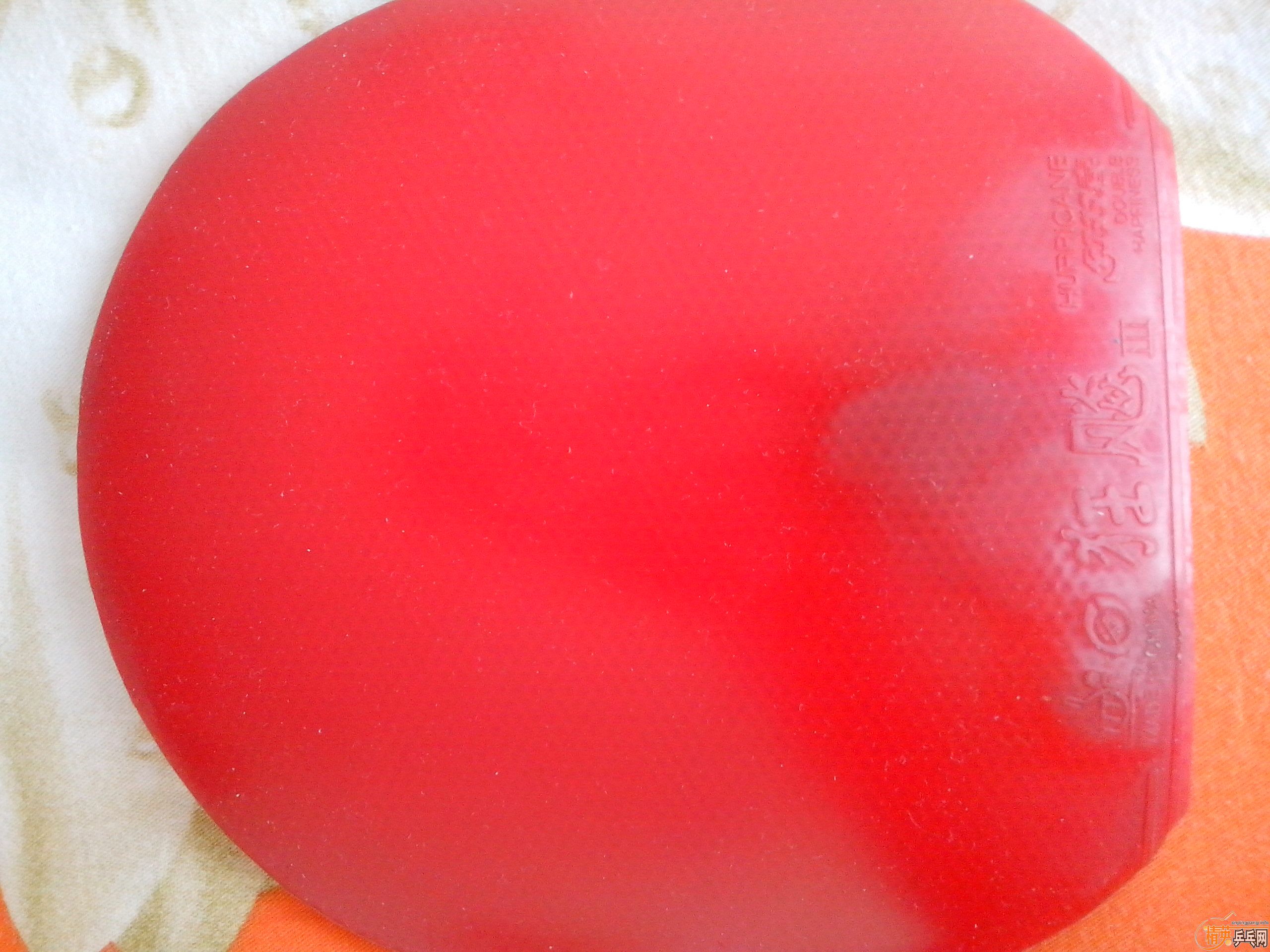 ���Ͽ����