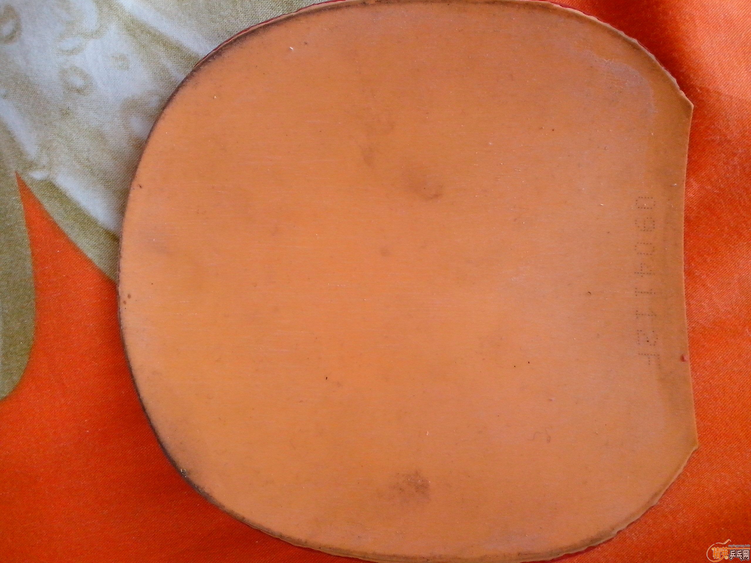 ���Ͽ����