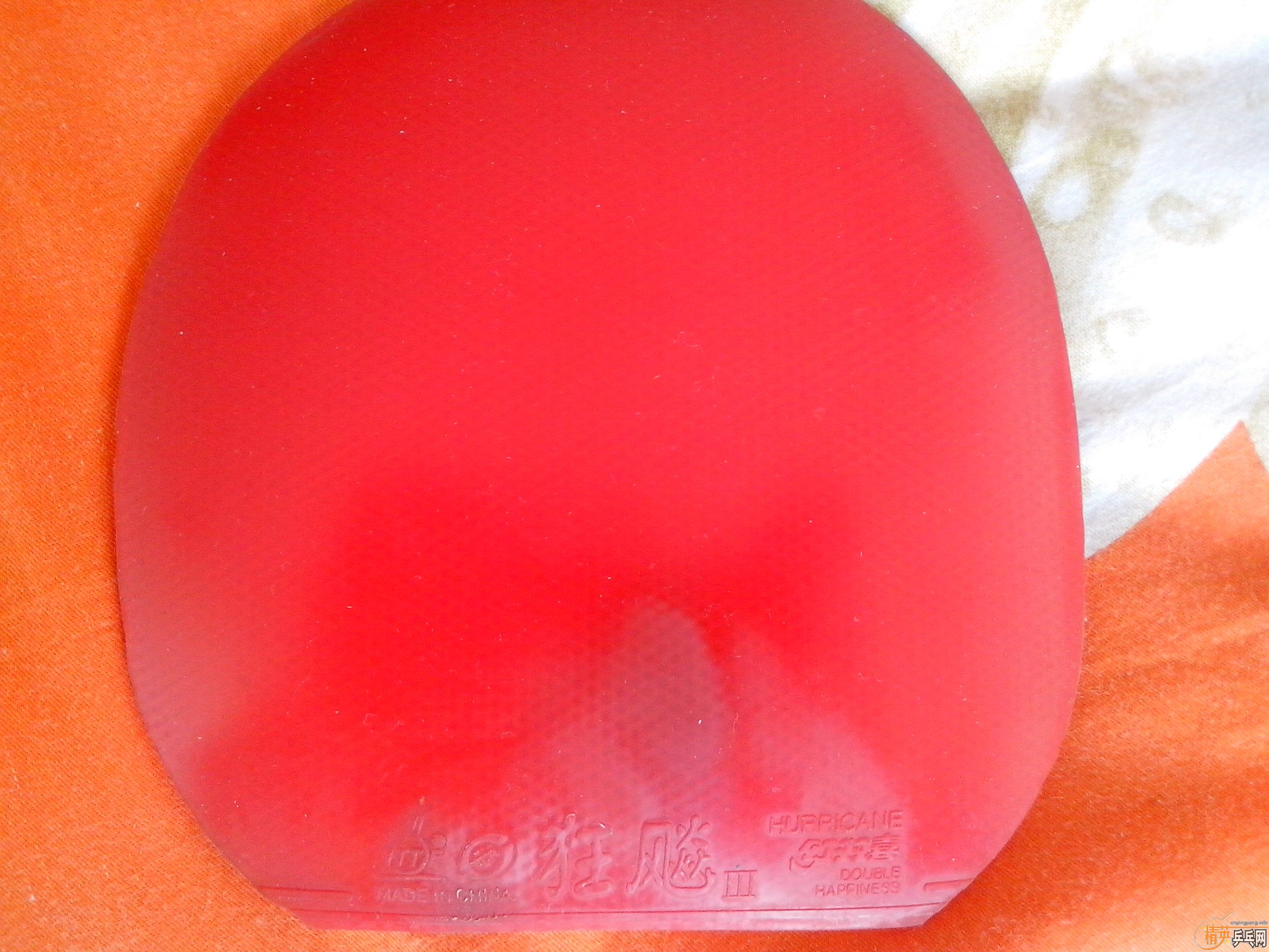 ���Ͽ����