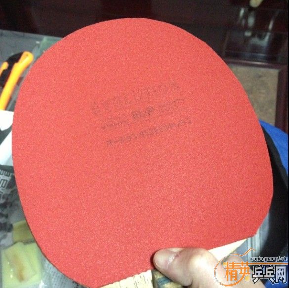 ͦ��ELP  9.8�� ���һ�� 158Ԫ