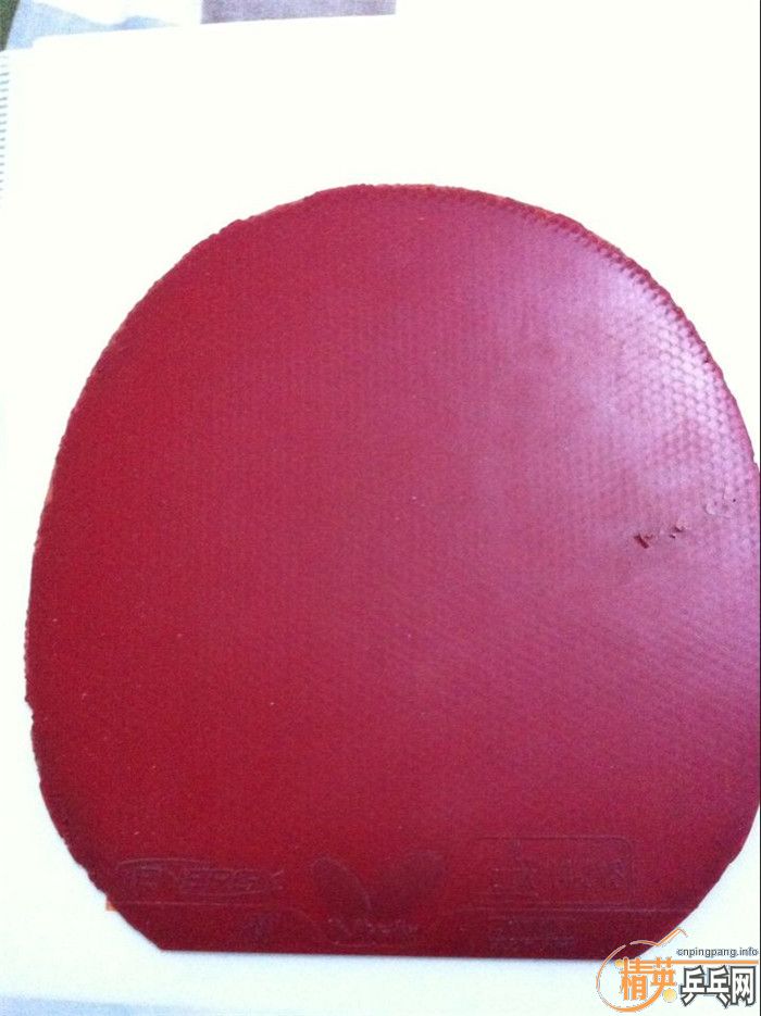 ������05 t80 fletraH vip һ�������� ���� �տ�3