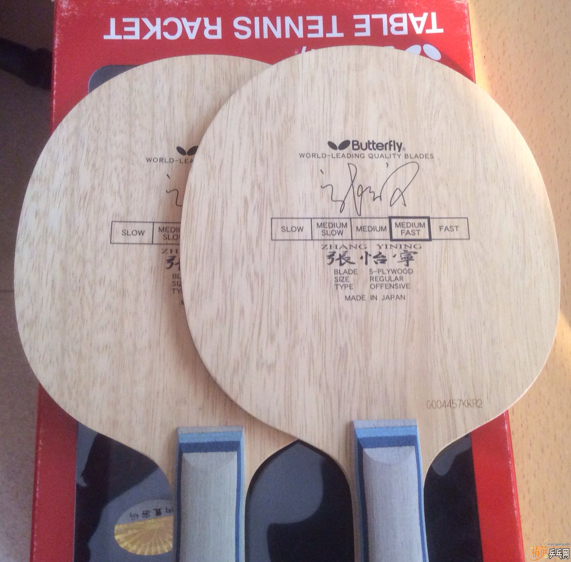 ȫ��������������ľ2ֻ