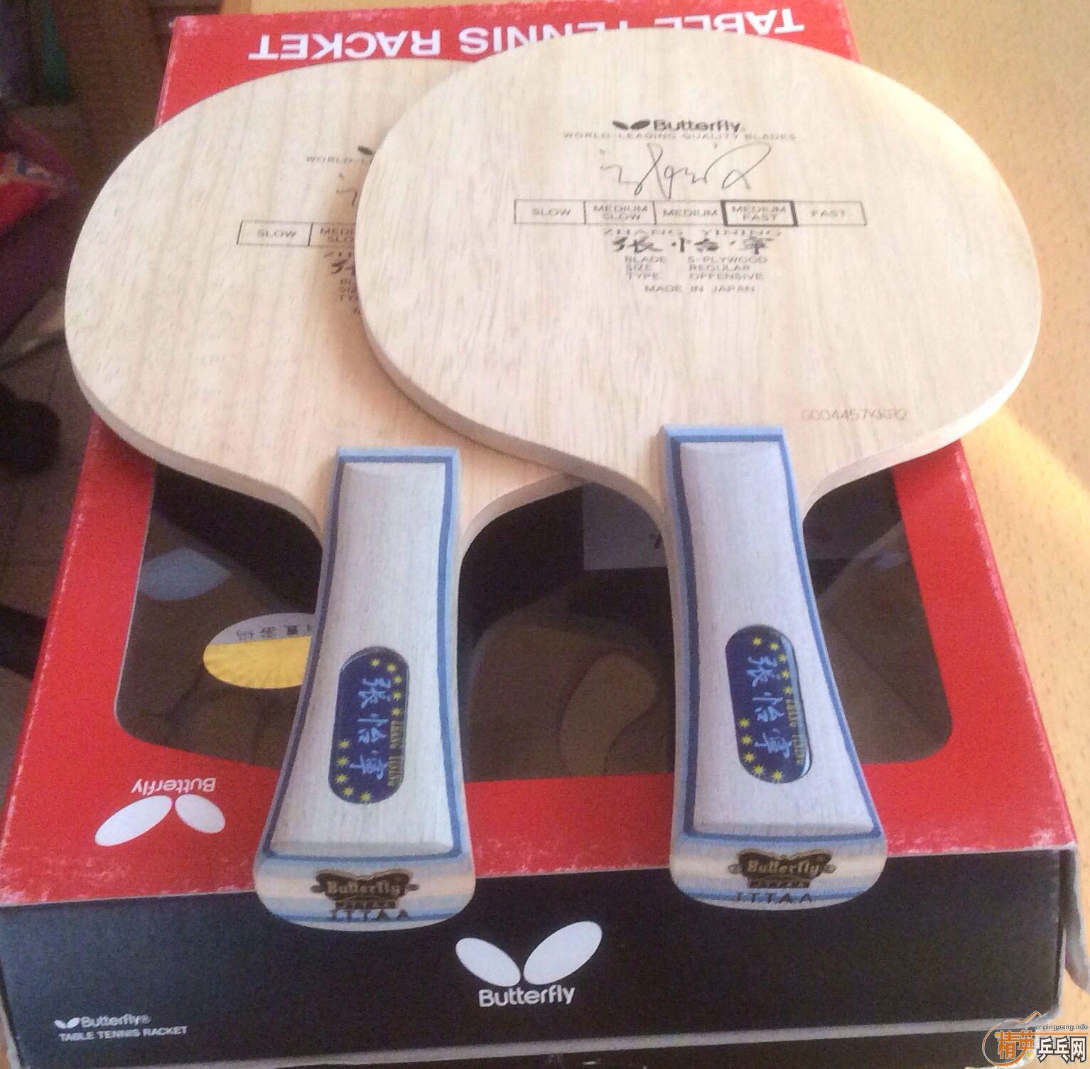 ȫ��������������ľ2ֻ