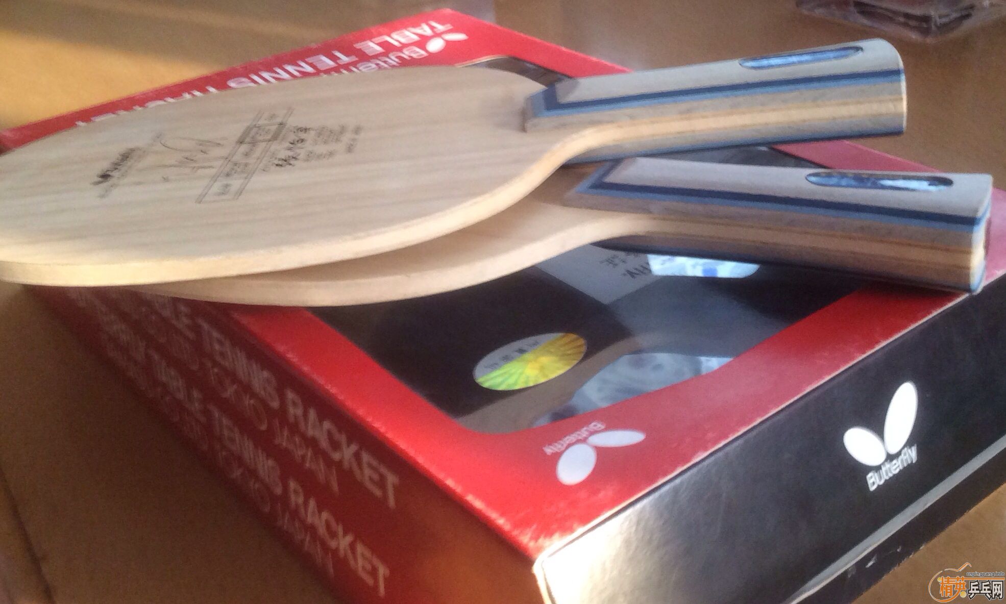 ȫ��������������ľ2ֻ