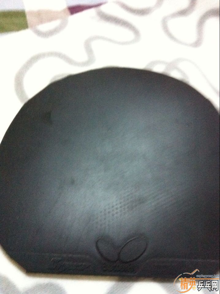 ������05 t80 fletraH vip һ�������� ���� �տ�3