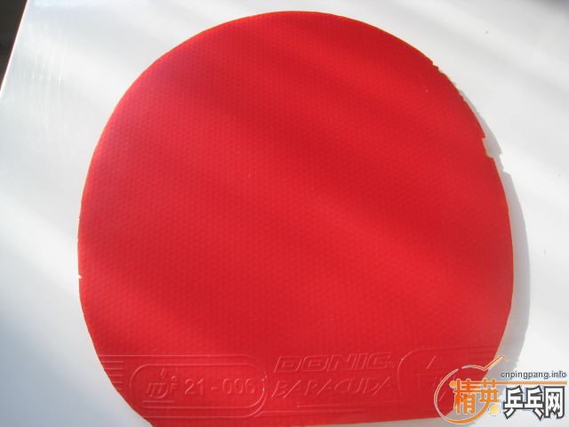 �����ҶӶ�Ա�����׽����Լ��ļ�������׽�