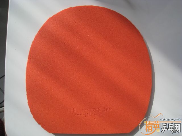 �����ҶӶ�Ա�����׽����Լ��ļ�������׽�