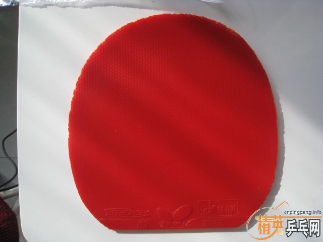 �����ҶӶ�Ա�����׽����Լ��ļ�������׽�