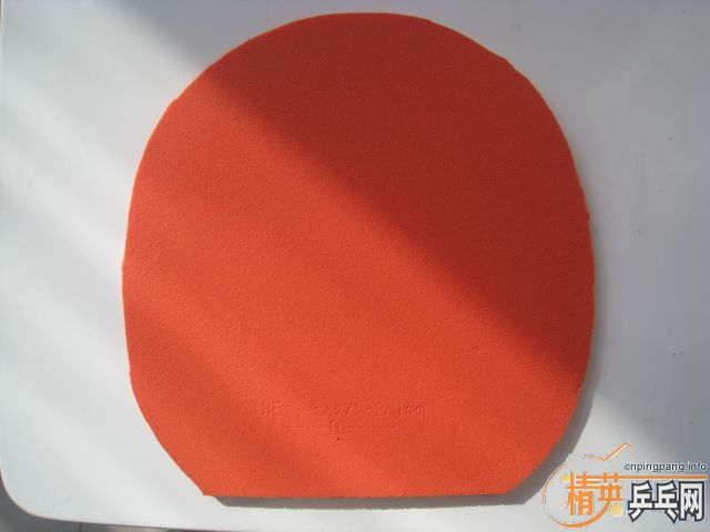 �����ҶӶ�Ա�����׽����Լ��ļ�������׽�