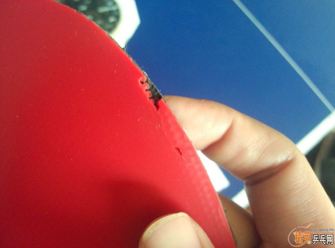 ͦ��Q1 ����sigma1  �����S1