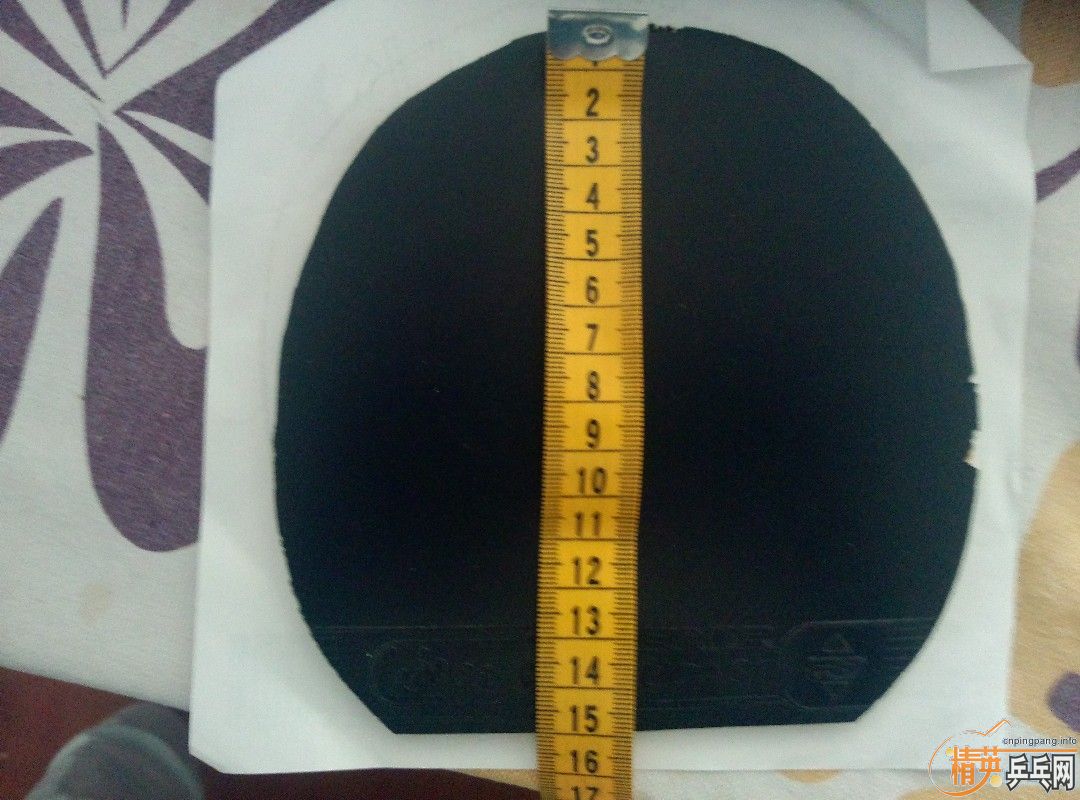 ͦ��Q1 ����sigma1  �����S1